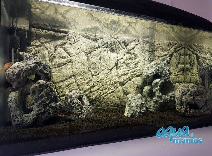 3D Foam Rock Grey Background Module size 60x38cm 