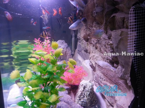 3D beige rock background 113x54cm to fit Aqua One 230 fish tank