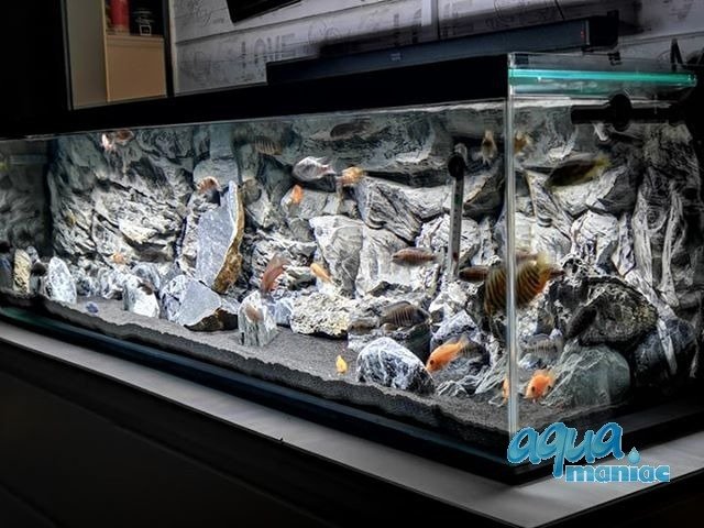 3D grey rock background 113x54cm to fit Aqua One 230 fish tank