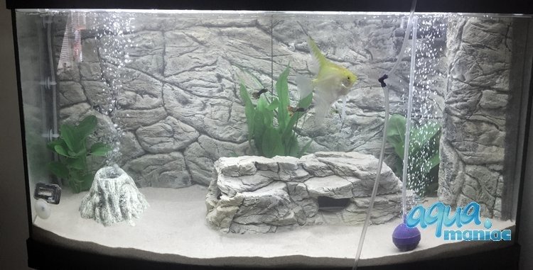 3D grey thin background 113x54cm to fit Aqua One 230 fish tank