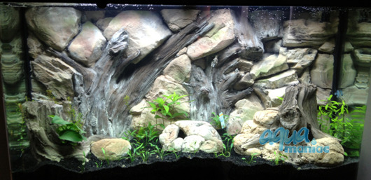 3D root background 117x45cm