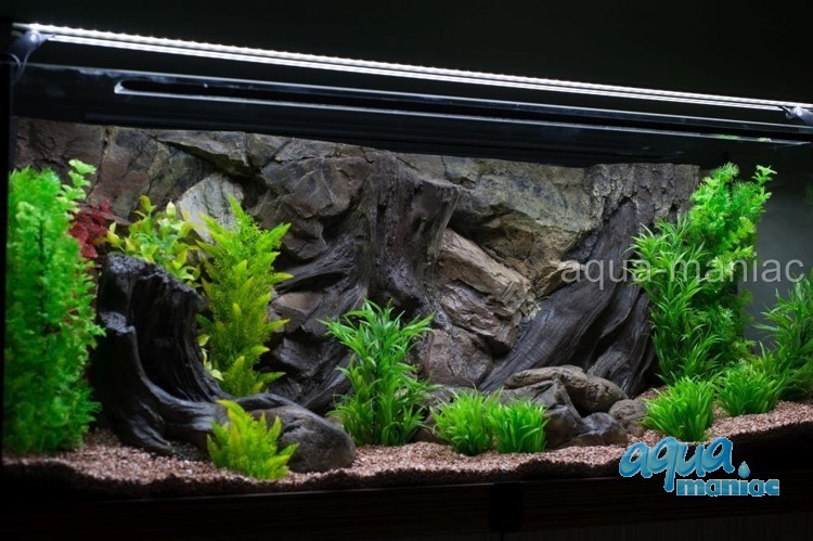 Fluval Roma 125 root background 77x42cm 1 section