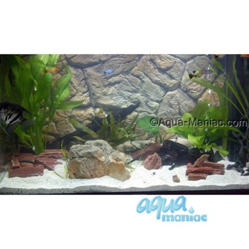 Fluval Roma 125 thin rock background 77x42cm 1 section