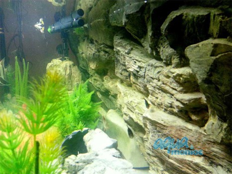 Fluval Roma 200 rock background 97x45cm 2 sections