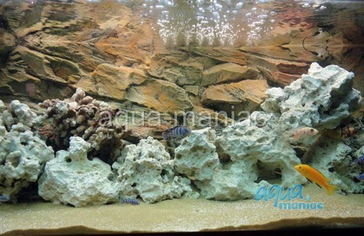 Fluval Roma 90 rock background 58x40cm 1 section