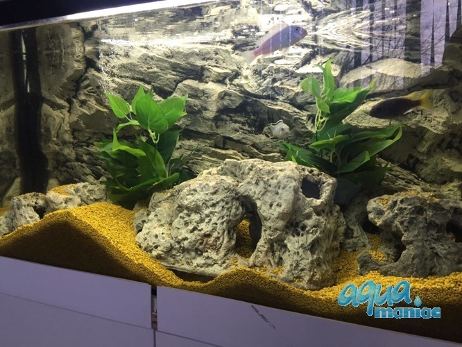 Limestone rock hide for fish - Medium Size