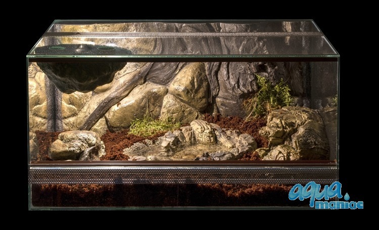 Terrarium Pool for reptiles - large