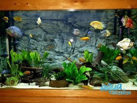 3D Background Grey Rock 97x45cm to fit Aqua Oak 110 Aquarium
