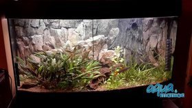3D Background Rock Root With Vent 97x45cm to fit Aqua Oak 110 Aquarium
