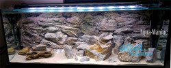 3D beige rock background 146x54cm in 2 sections