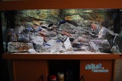 3D beige rock background 97x45cm