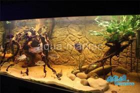 3D  thin background 113x54cm to fit Aqua One 230 fish tank