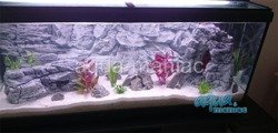 Fluval Roma 200 grey rock background 97x45 2 sections
