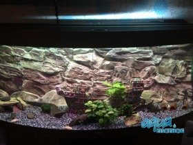 Fluval Vicenza 260 3D rock background 117x52cm in 2 sections